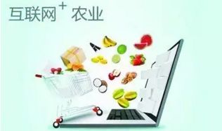 農村電商十大發展趨勢 擁抱變革，賦能鄉村經濟